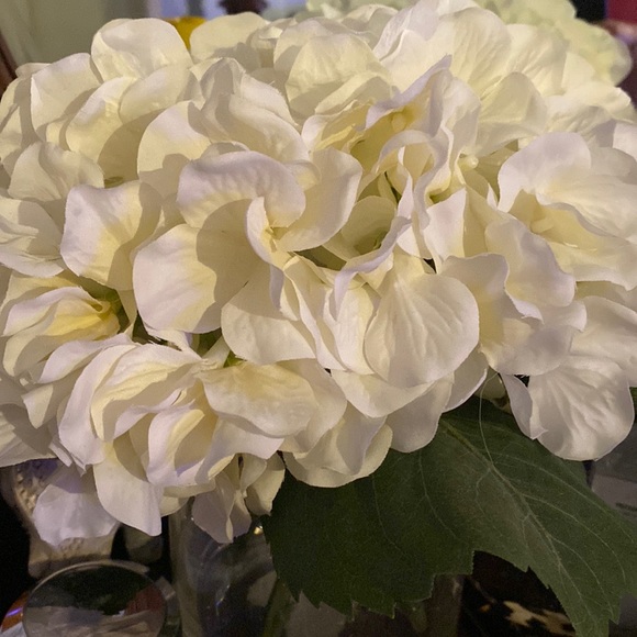 Meet your Posher, Kate - Picture 1 of 1